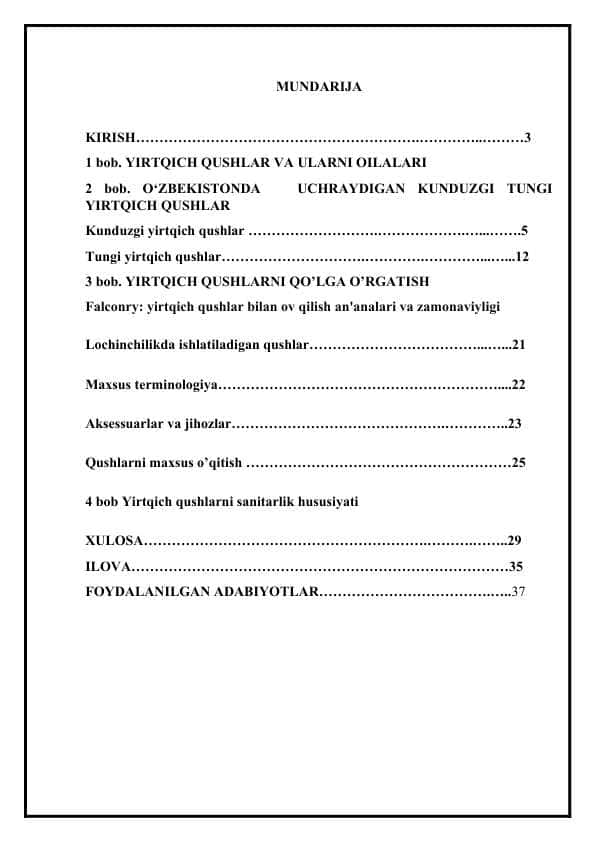 Yirtqich qushlar