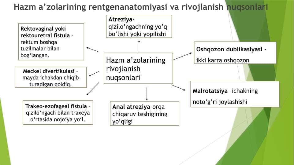 Anatomiya logichiskiy