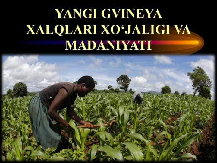 Yangi Gvineya xalqlari xo‘jaligi va madaniyati 25
