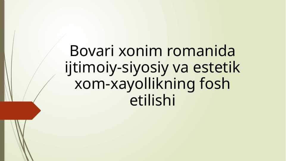 Bovari xonim romanida ijtimoiy siyosat