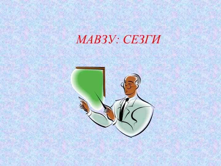 СЕЗГИ