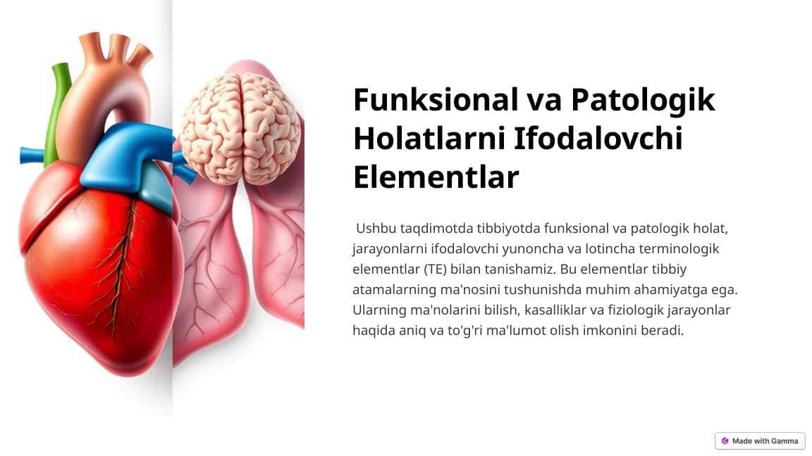 Funksional va Patologik Holatlarni Ifodalovchi Elementlar