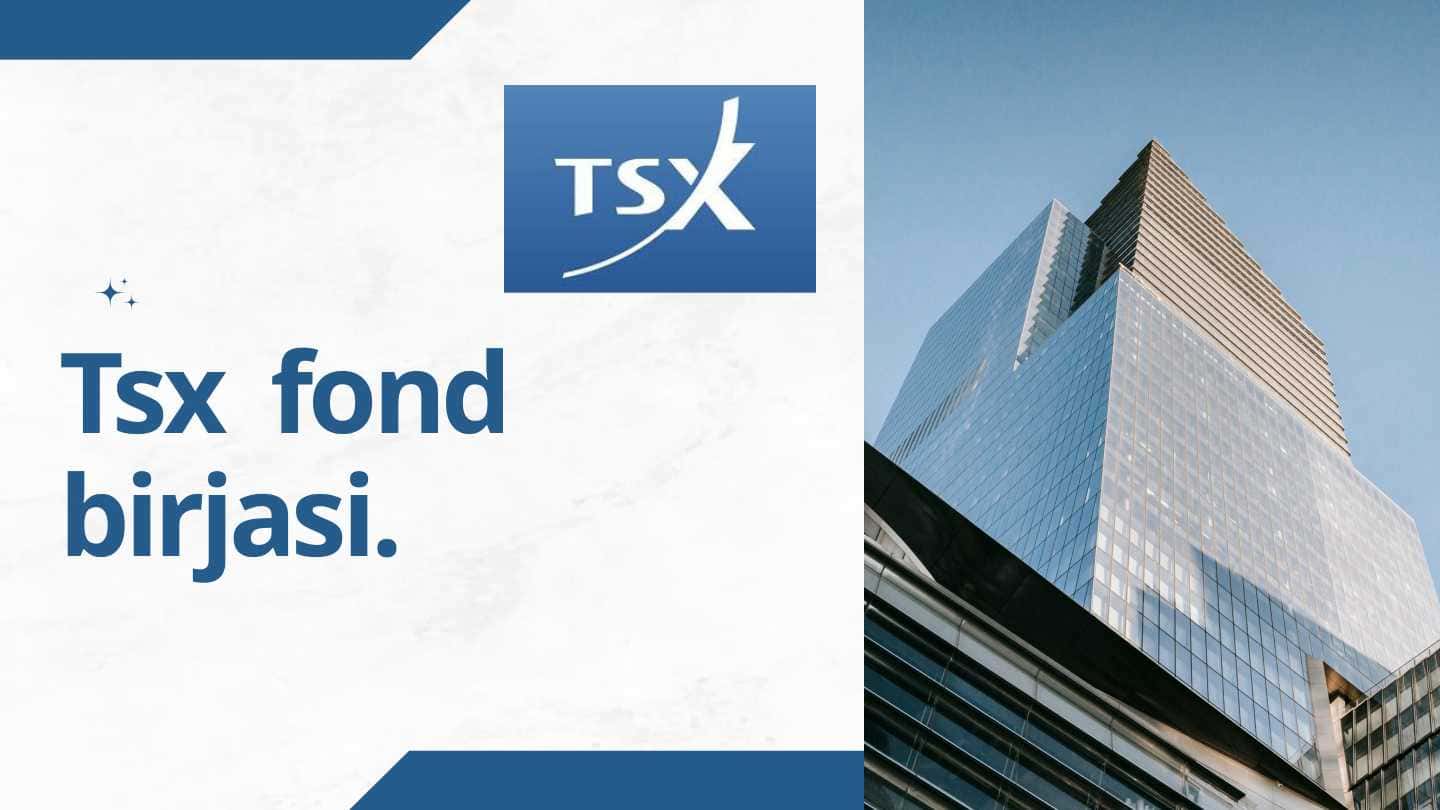 Tsx fond birjasi.