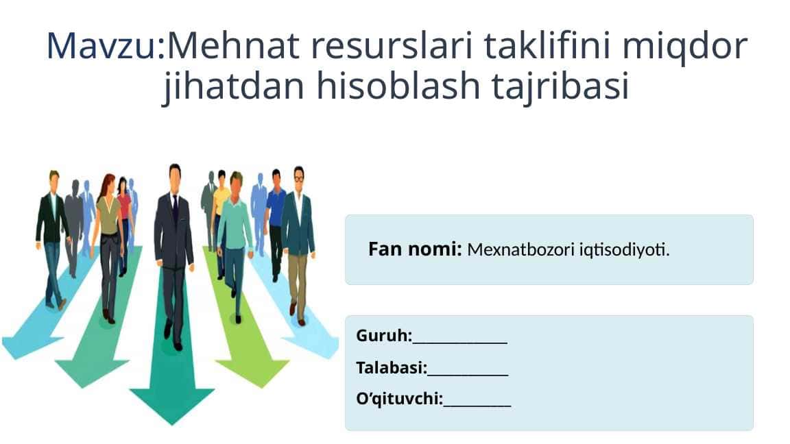 Mehnat resurslari taklifini miqdor jihatdan hisoblash tajribasi