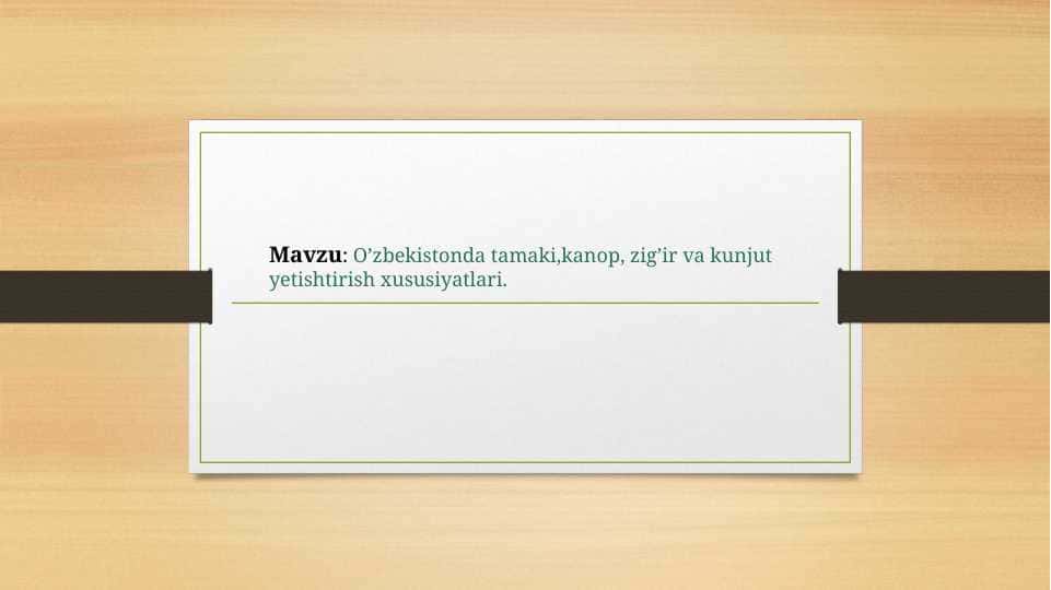 O’zbekistonda tamaki,kanop, zig’ir va kunjut yetishtirish xususiyatlari