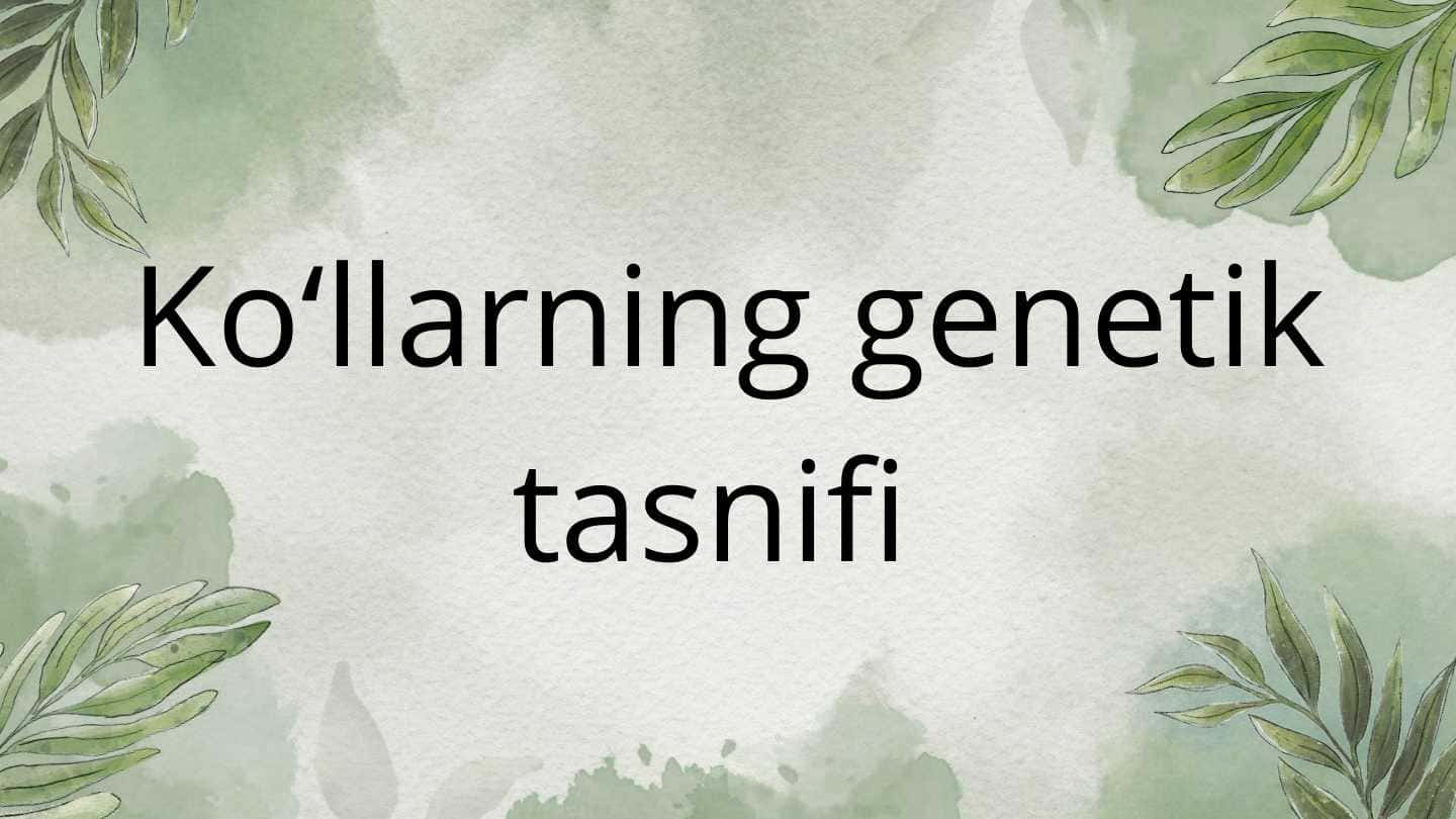 Koʻllarning genetik tasnifi