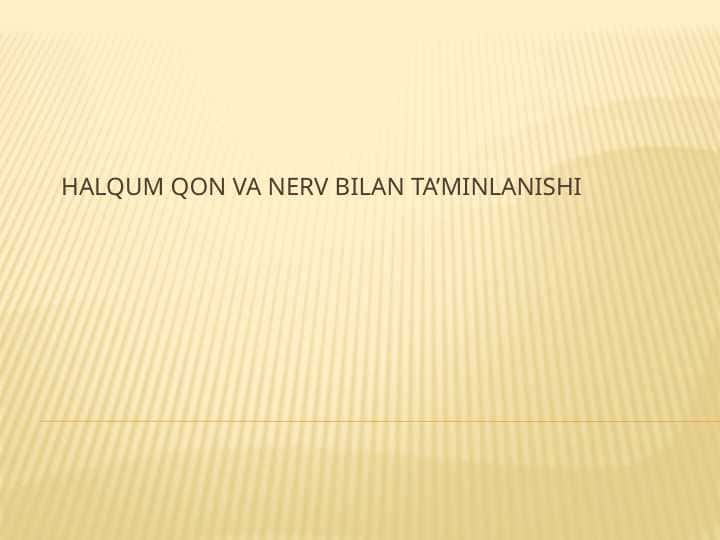 Halqumni qon va nerv bilan innervatsiyasi