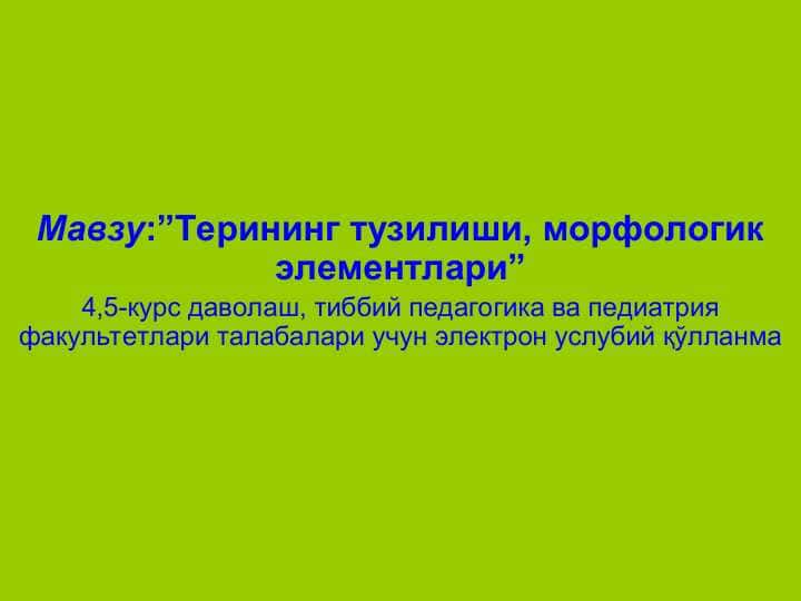 Терининг тузилиши, морфологик элементлари