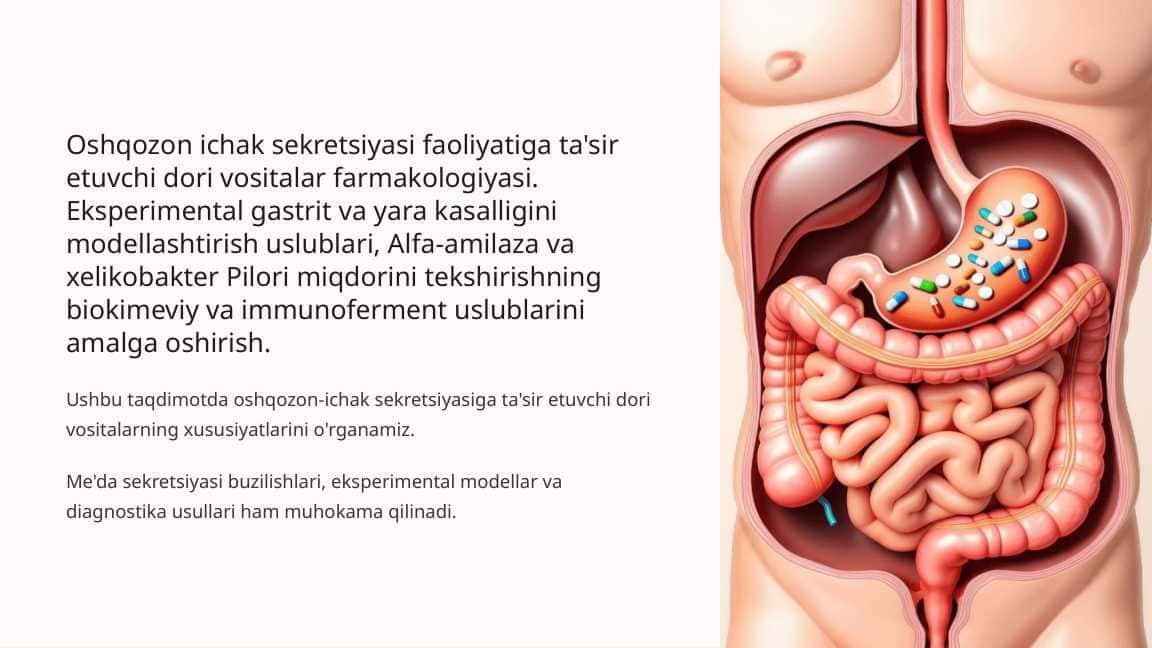 Oshqozon ichak sekretsiyasi faoliyatiga ta'sir etuvchi dori vositalar farmakologiyasi. Eksperimental gastrit va yara kasalligini modellashtirish uslublari, Alfa-amilaza va xelikobakter Pilori miqdorini tekshirishning biokimeviy va immunoferment uslublarini amalga oshirish.