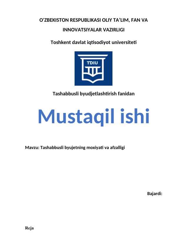 Tashabbusli byujetning moxiyati va afzalligi