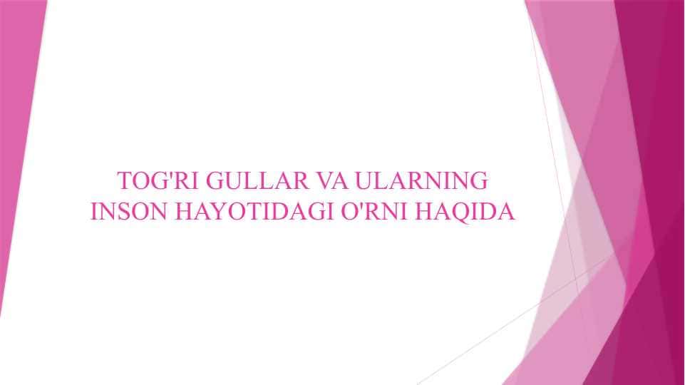 TOG'RI GULLAR VA ULARNING INSON HAYOTIDAGI O'RNI HAQIDA