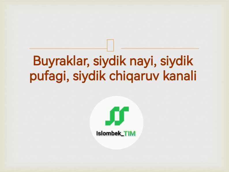 Buyraklar, siydik nayi, siydik pufagi, siydik chiqaruv kanali