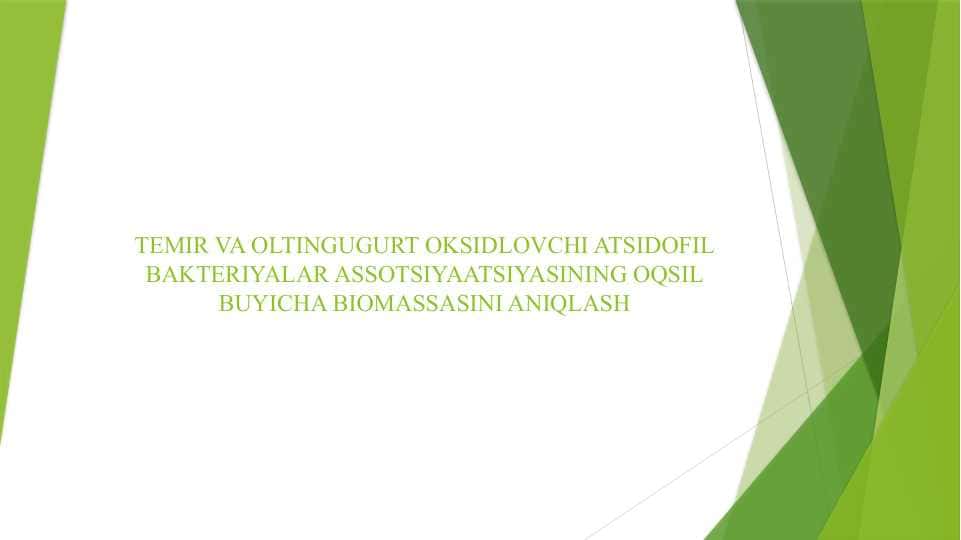 TEMIR VA OLTINGUGURT OKSIDLOVCHI ATSIDOFIL BAKTERIYALAR ASSOTSIYAATSIYASINING OQSIL BUYICHA BIOMASSASINI ANIQLASH