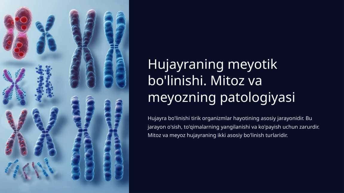 Hujayraning meyotik bo'linishi. Mitoz va meyozning patologiyasi