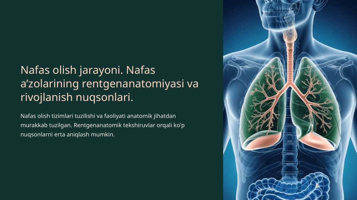 Nafas olish jarayoni. Nafas a’zolarining rentgenanatomiyasi va rivojlanish nuqsonlari