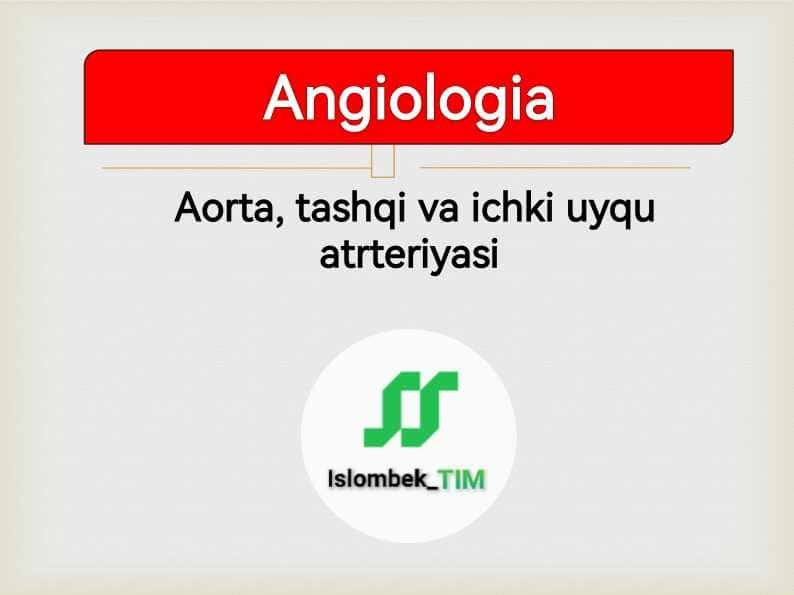 Aorta, tashqi va ichki uyqu atrteriyasi