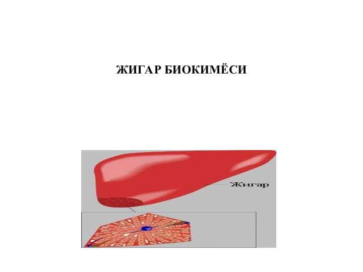 JIGAR BIOKIMYOSI