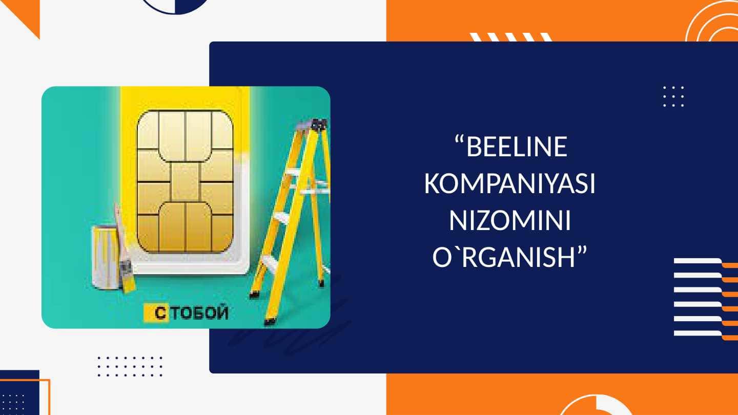 BEELINE KOMPANIYASI NIZOMINI O`RGANISH