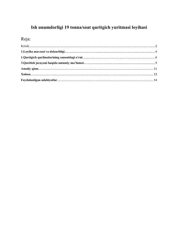 Ish unumdorligi 19 tonna/soat quritgich yuritmasi loyihasi