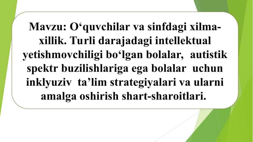 O‘quvchilar va sinfdagi xilma-xillik. Turli darajadagi intellektual yetishmovchiligi bo‘lgan bolalar, autistik spektr buzilishlariga ega bolalar uchun inklyuziv ta’lim strategiyalari va ularni amalga oshirish shart-sharoitlari