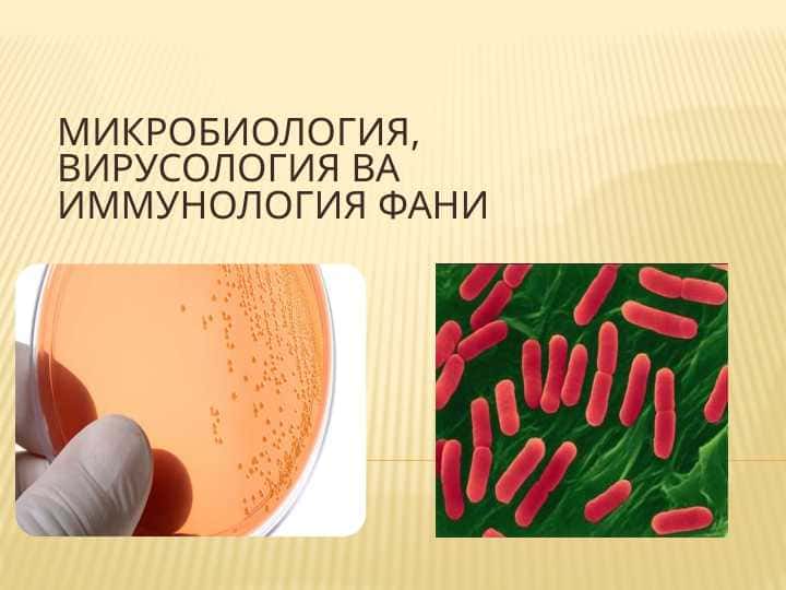 Микробиология, вирусология ва иммунология pptx