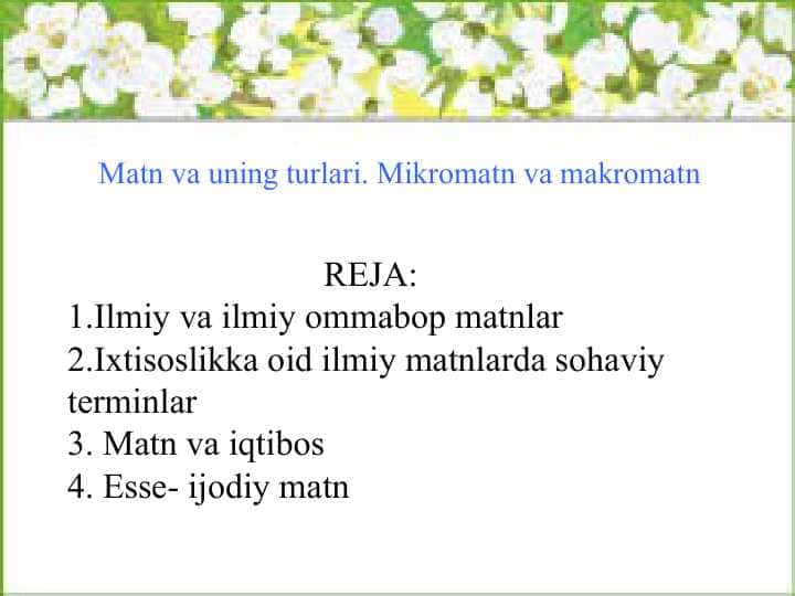 Matn va uning turlari. Mikromatn va makromatn