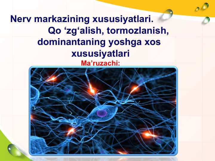 Nerv markazining xususiyatlari. Qo ‘zg‘alish, tormozlanish, dominantaning yoshga xos xususiyatlari