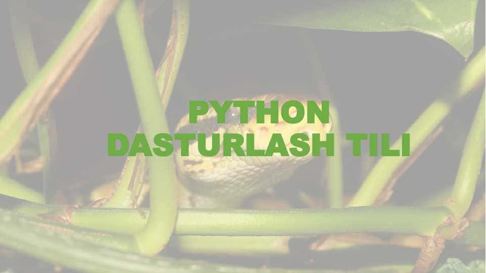 PYTHON DASTURLASH TILI