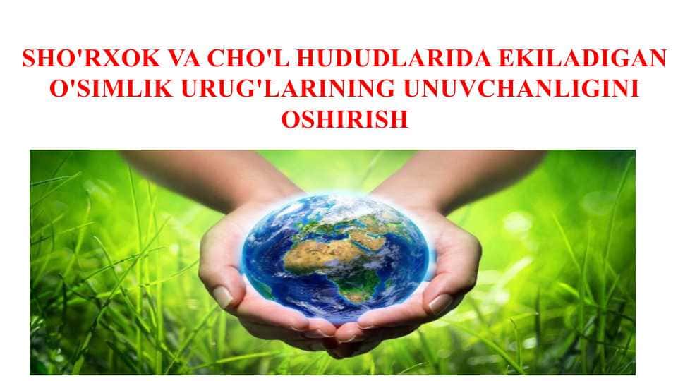 SHO'RXOK VA CHO'L HUDUDLARIDA EKILADIGAN O'SIMLIK URUG'LARINING UNUVCHANLIGINI OSHIRISH