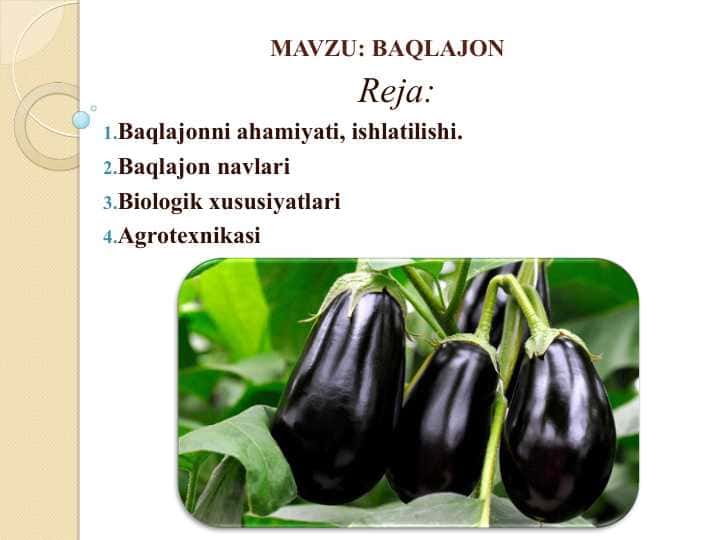 Baqlajon