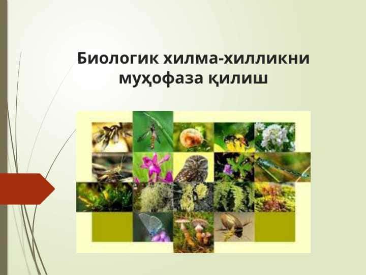 Биологик хилма-хилликни муҳофаза қилиш