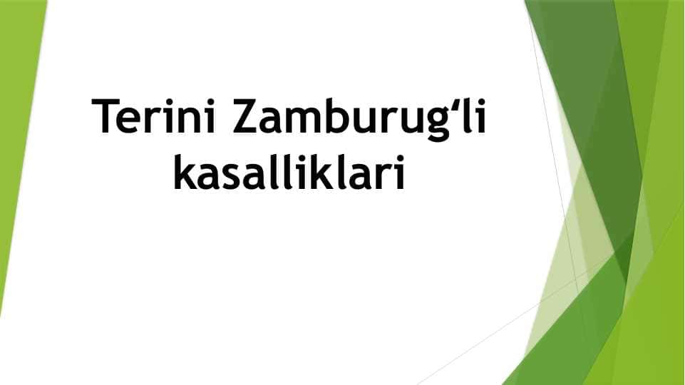 Terini Zamburugʻli kasalliklari