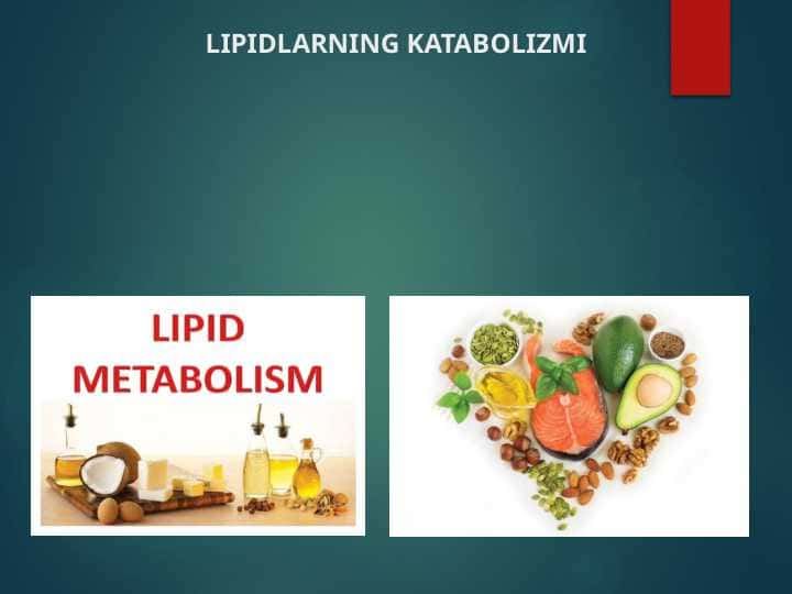 Lipidlarning katabolizmi