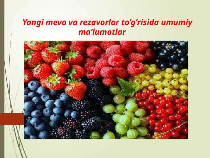 Yangi meva va rezavorlar to’g’risida umumiy ma’lumotlar