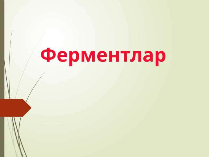 Ферментлар (2)