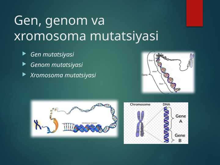 Gen, genom va xromosoma mutatsiyasi