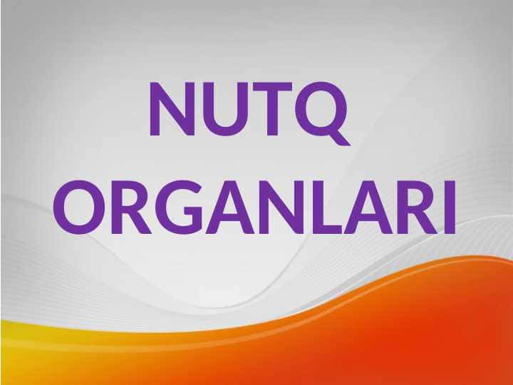 NUTQ ORGANLARI
