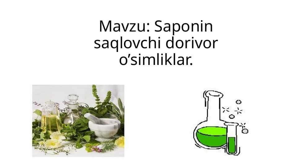 Saponin saqlovchi dorivor o’simliklar.