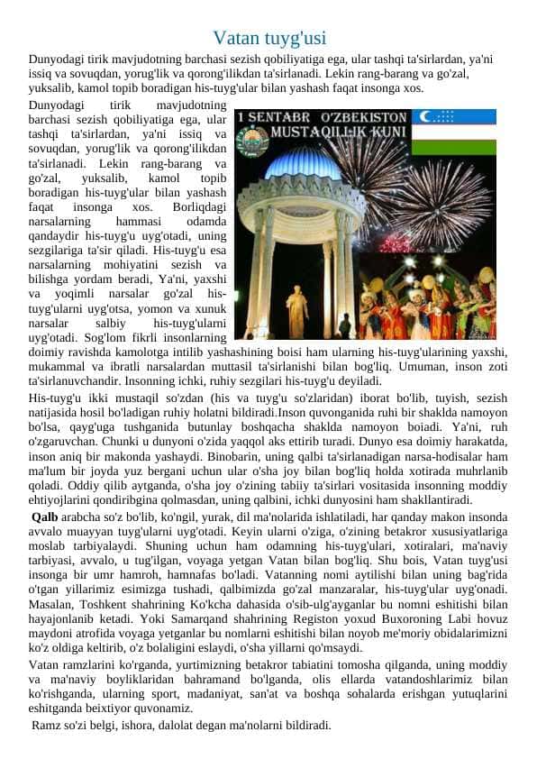 Vatan tuyg'usi