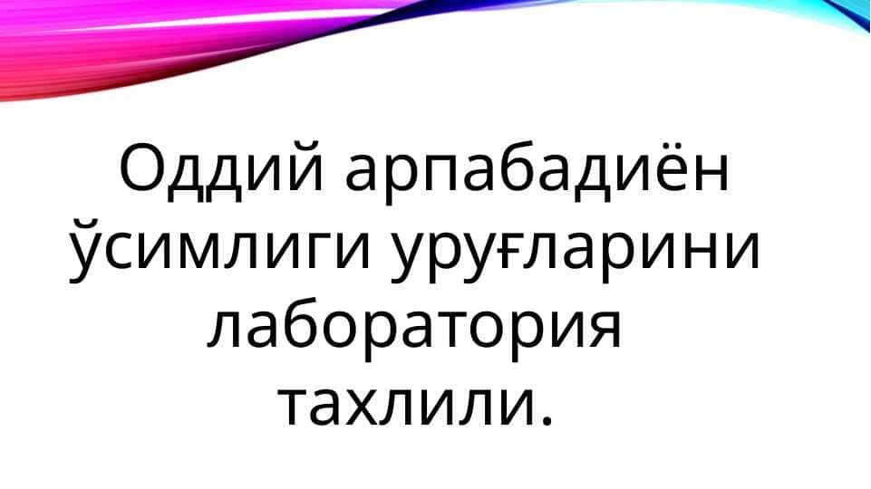 Оддий арпабадиён ўсимлиги уруғларини лаборатория тахлили