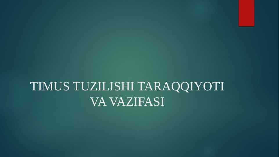 TIMUS TUZILISHI TARAQQIYOTI VA VAZIFASI