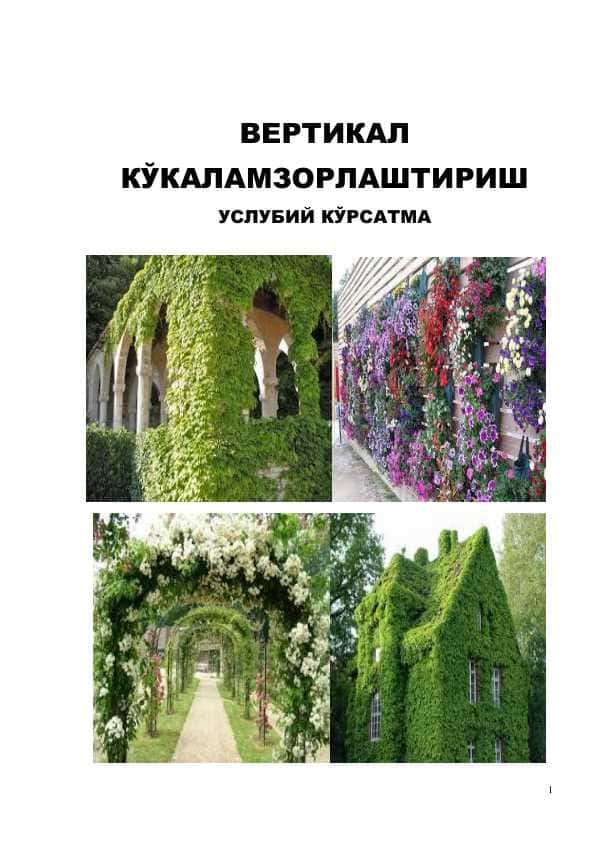 ВЕРТИКАЛ КЎКАЛАМЗОРЛАШТИРИШ