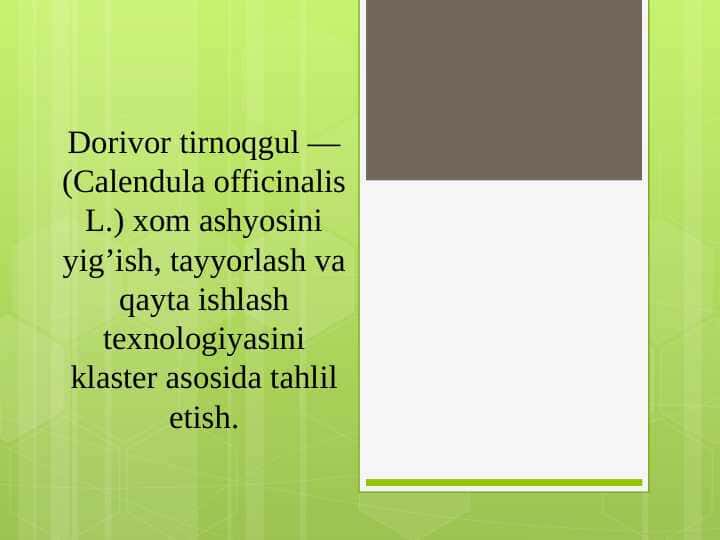 Dorivor tirnoqgul — (Сalendula officinalis L.) xom ashyosini yig’ish, tayyorlash va qayta ishlash texnologiyasini klaster asosida tahlil etish.