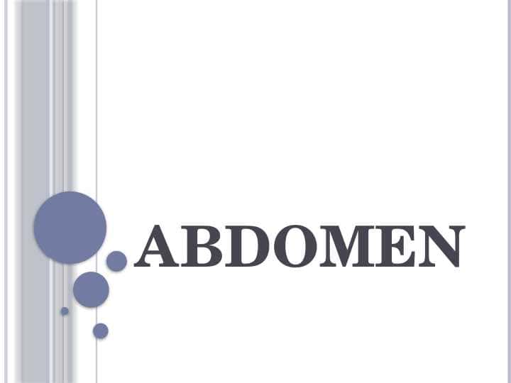 ABDOMEN