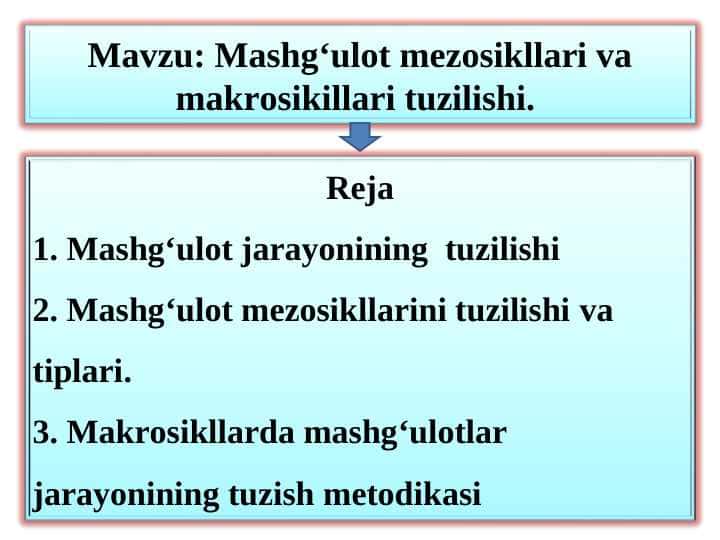 Mashg‘ulot mezosikllari va makrosikillari tuzilishi