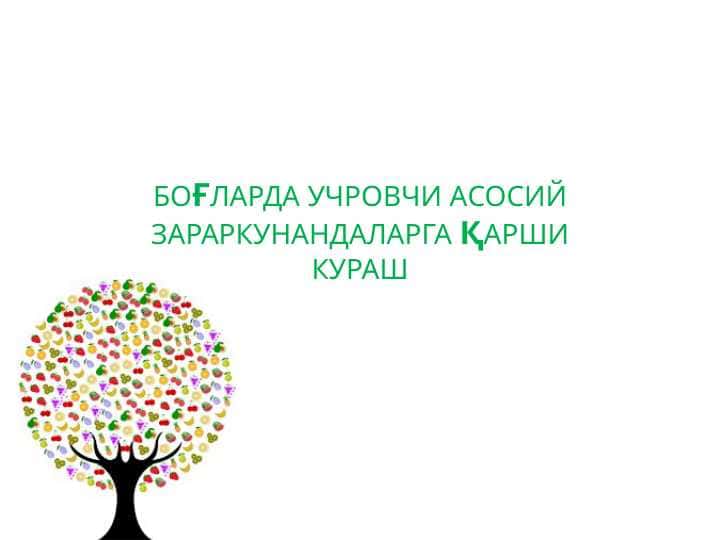 БОҒЛАРДА УЧРОВЧИ АСОСИЙ ЗАРАРКУНАНДАЛАРГА ҚАРШИ КУРАШ