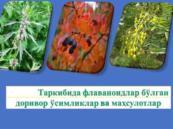 Таркибида флаваноидлар бўлган доривор ўсимликлар маҳсулотлар