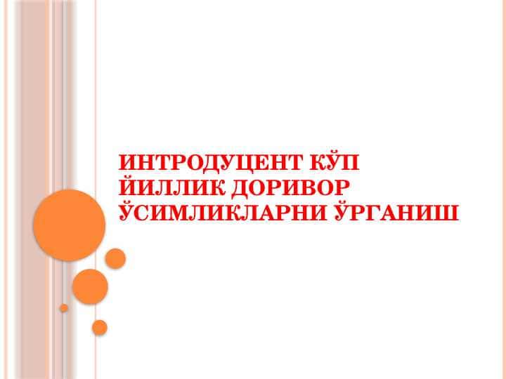 Интродуцент кўп йиллик доривор ўсимликларни ўрганиш