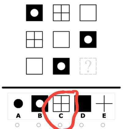 ARGOST iQ test 2025