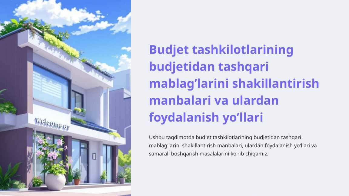 Budjet tashkilotlarining budjetidan tashqari mablag’larini shakillantirish manbalari va ulardan foydalanish yo’llari